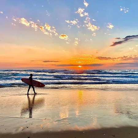 Plaisirs De סניוס