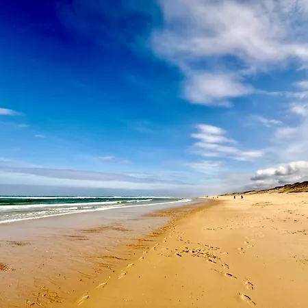 Plaisirs De סניוס